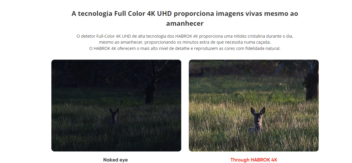 Binóculo Hikmicro Habrok 4k HE25LN Termal Night Vision Rangefinder