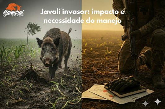 Javali invasor: impacto e necessidade do manejo